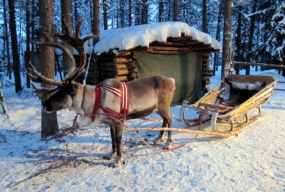 Vignette1-Voyage en Laponie