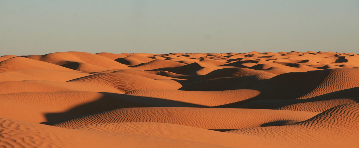 Voyage en Tunisie