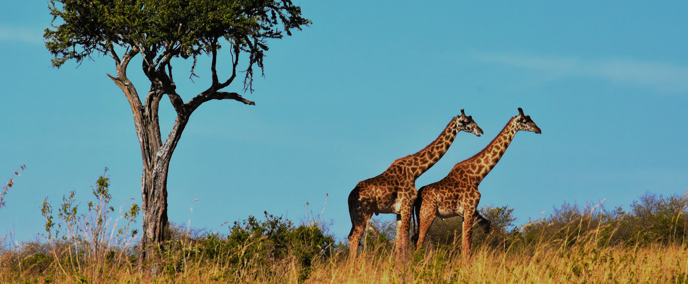 Voyage en Tanzanie