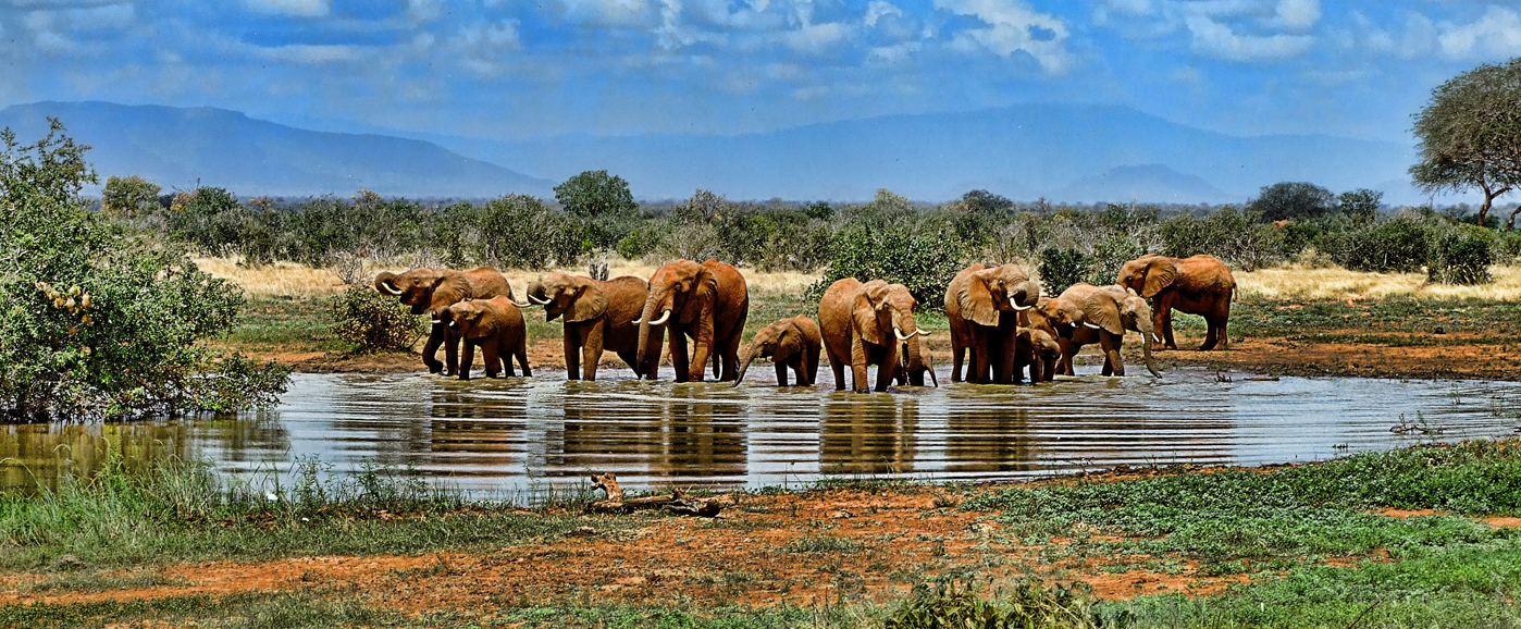 Voyage en Afrique du Sud