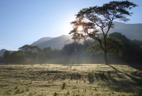 Vignette1-Voyage en Tanzanie